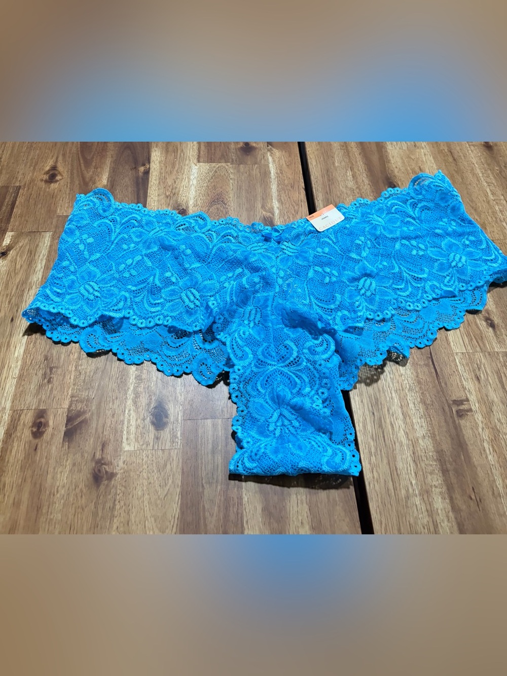Cacique Cheeky Panty Lace Blue Size 18/20